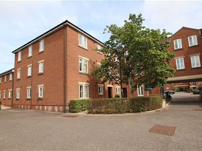 Picture 17